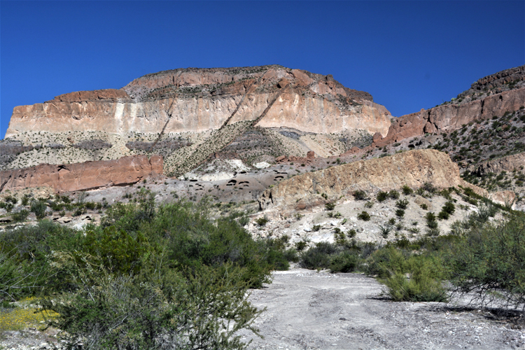 terrain